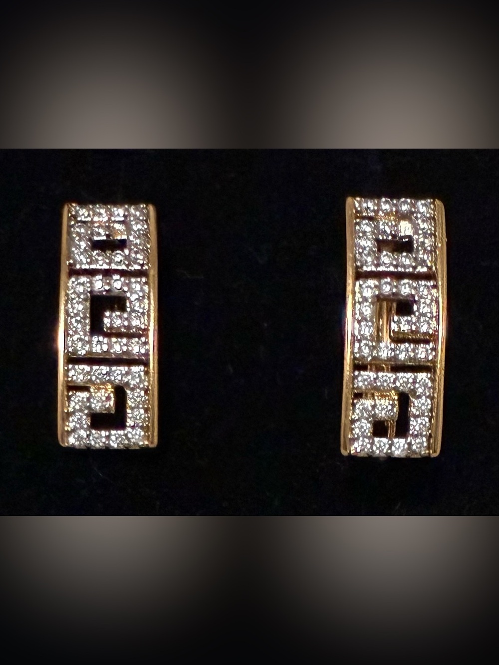Luxurious Style Gold-tone Earrings